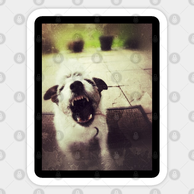 Angry Jack Russell Sticker by everyplatewebreak tees